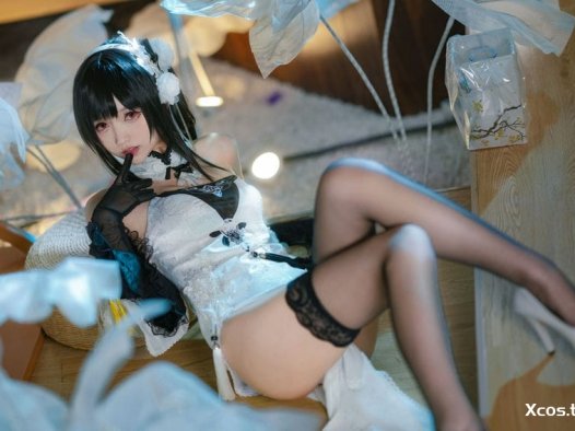 大大卷卷小卷 – 碧蓝航线 镇海原皮 [24P-187MB]